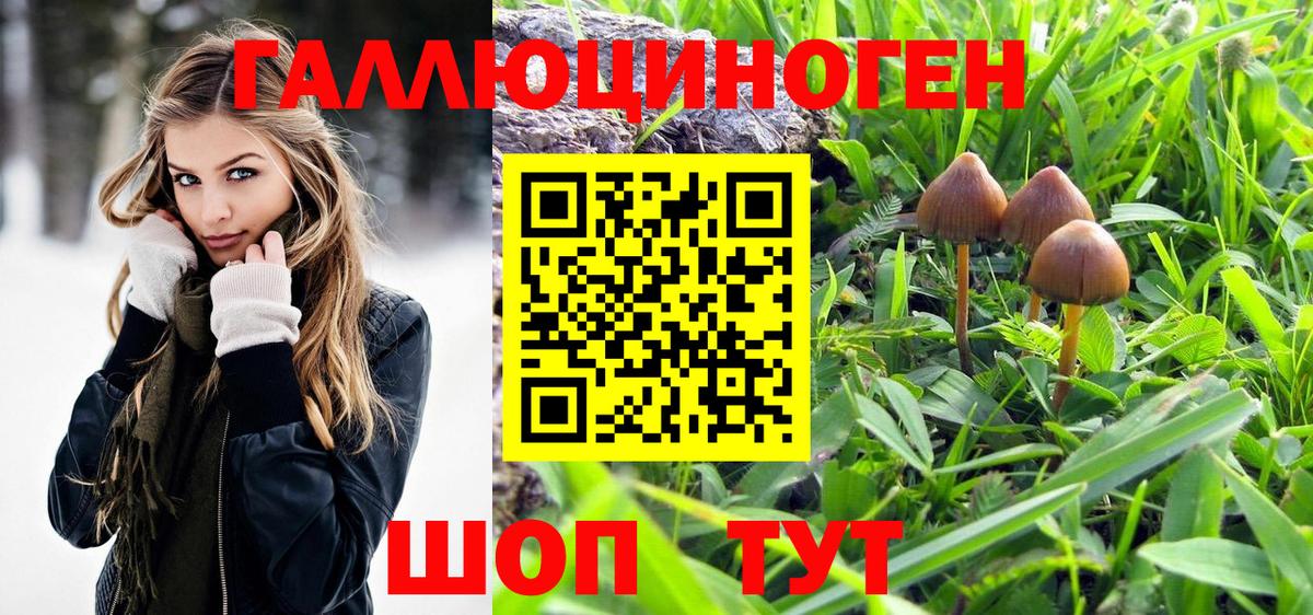Псилоцибиновые грибы Magic Shrooms  Вход с VPN  Псилоцибиновые грибы прущие грибы  Зеленодольск 